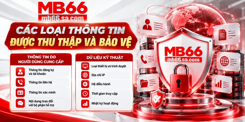 Các loại thông tin được thu thập và bảo vệ tại MB66