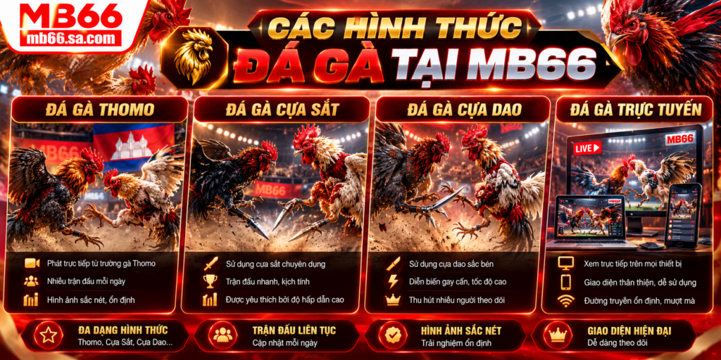 Các hình thức Đá Gà nổi bật tại MB66