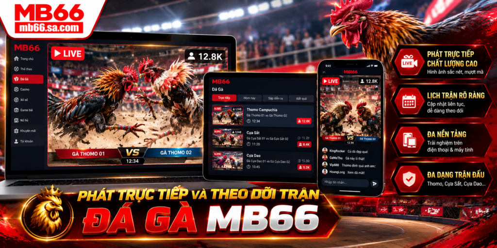 Phát trực tiếp và theo dõi trận Đá Gà MB66