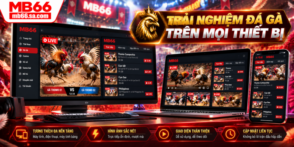 Trải nghiệm Đá Gà MB66 trên điện thoại và máy tính