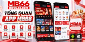 Tổng quan giao diện App MB66