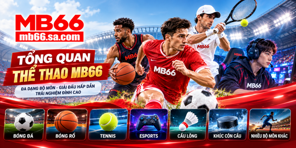 Tổng quan sảnh Thể Thao MB66